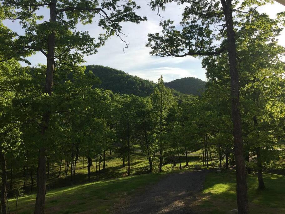 Primrose Cottage - Private Lake, Hot Tub, Atv Trails Mena 외부 사진